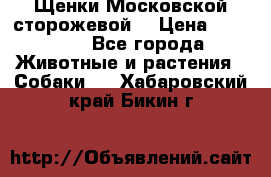 Щенки Московской сторожевой  › Цена ­ 25 000 - Все города Животные и растения » Собаки   . Хабаровский край,Бикин г.